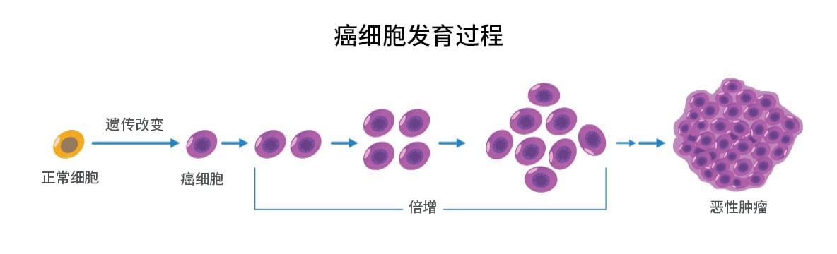 癌症基因组学