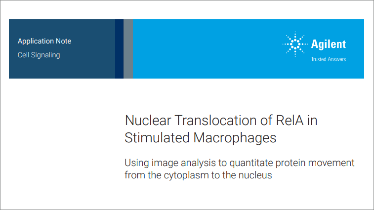 Nuclear Translocation of RelA in Stimulated Macrophage, application notes
