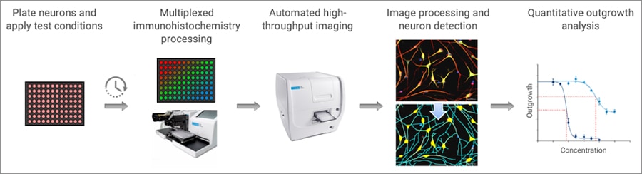 Application solution overview for labeled cell analysis workflow.