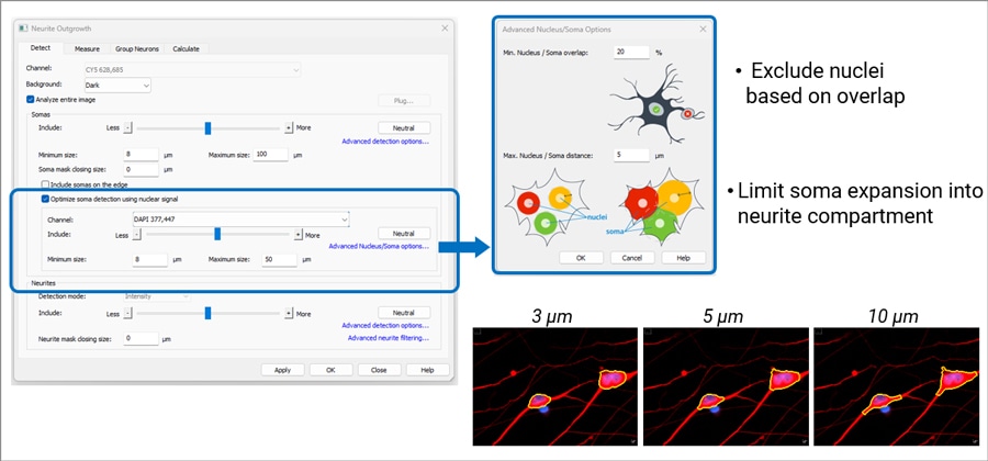 Supported neurite analysis imaging modes and associated applications.