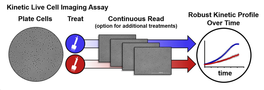 Application solution overview for labeled cell analysis workflow.