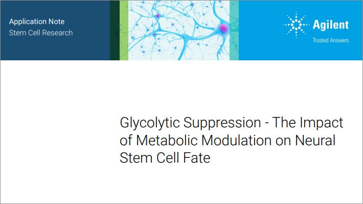 Glycolytic Suppression - The Impact of Metabolic Modulation on Neural Stem Cell Fate 