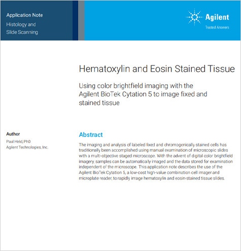 Hematoxylin and Eosin Stained Tissue