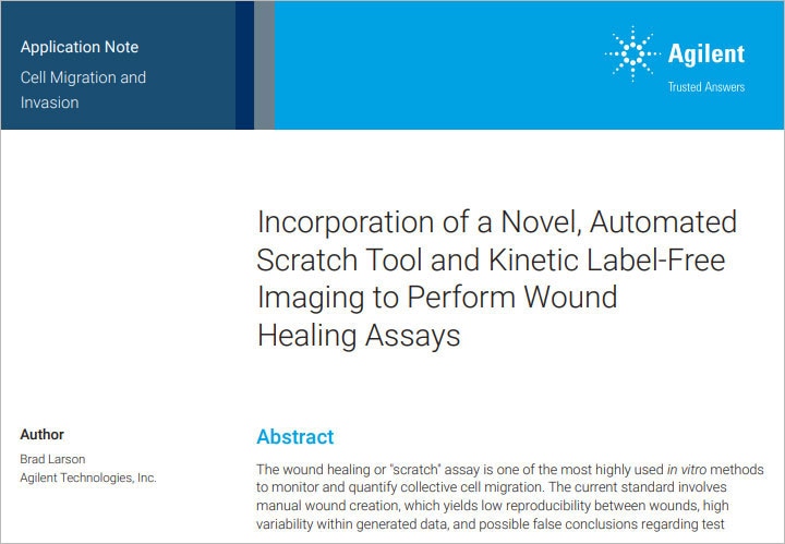 Incorporation of a Novel, Automated Scratch Tool and Kinetic Label-Free Imaging to Perform Wound Healing Assays