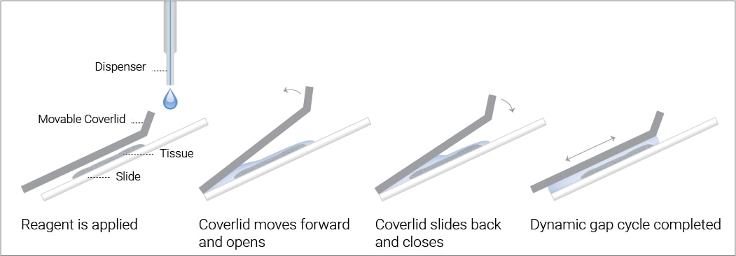 Dynamic Gap Staining process