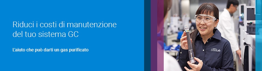 Riduci i costi di manutenzione del tuo GC - L'aiuto che può darti un gas purificato
