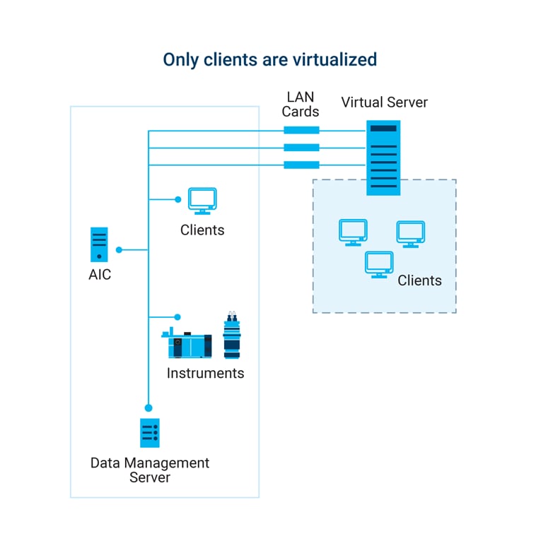 Only clients are virtualized