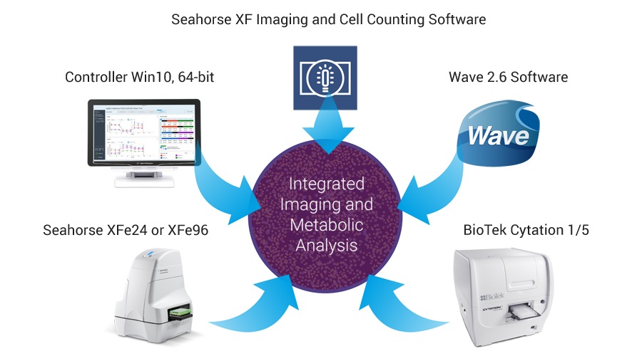 Seahorse XF Imaging And Normalization System | Agilent