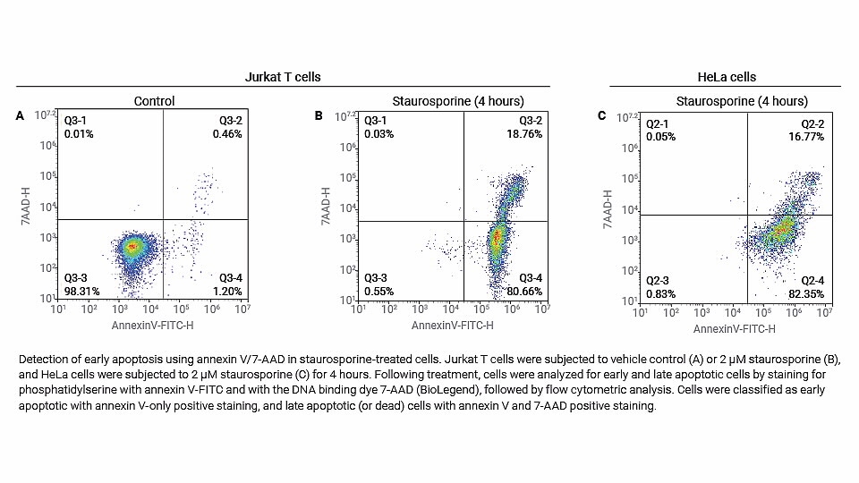 Figure From Flow Cytometric Quantification Of All Phases Of, 47% OFF