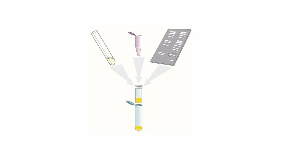 Plasmid DNA Miniprep Kits, StrataPrep Plasmid Miniprep Kits | Agilent