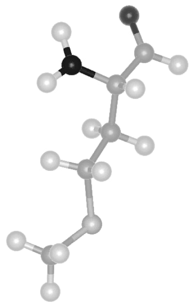 ZORBAX Eclipse Amino Acid Analysis (AAA)