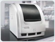 MX qPCR