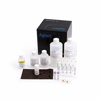 agilent 1000 dna kit